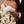Load image into Gallery viewer, Striped